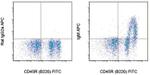 Mouse IgM Monoclonal Antibody (II/41), APC, eBioscience™