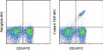TCR V beta 6 Monoclonal Antibody (RR4-7), APC, eBioscience™
