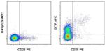 CD357 (AITR/GITR) Monoclonal Antibody (DTA-1), APC, eBioscience™