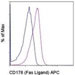 CD178 (Fas Ligand) Monoclonal Antibody (MFL3), APC, eBioscience™