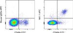 NK1.1 Monoclonal Antibody (PK136), APC, eBioscience™