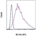 B7-H4 Monoclonal Antibody (H74), APC, eBioscience™