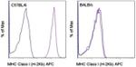 MHC Class I (H-2Kb) Monoclonal Antibody (AF6-88.5.5.3), APC, eBioscience™
