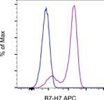 B7-H7 Monoclonal Antibody (MA57YW), APC, eBioscience™