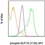 Phospho-SLP-76 (Tyr128) Monoclonal Antibody (HNDZ55), APC, eBioscience™