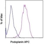 Podoplanin Monoclonal Antibody (NZ-1.3), APC, eBioscience™