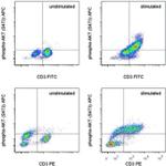 Phospho-AKT1 (Ser473) Monoclonal Antibody (SDRNR), APC, eBioscience™