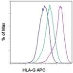 HLA-G Monoclonal Antibody (87G), APC, eBioscience™