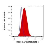 Cytokeratin 6B Antibody in Flow Cytometry (Flow)