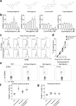 FOXP3 Antibody in Flow Cytometry (Flow)