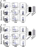 FOXP3 Antibody in Flow Cytometry (Flow)