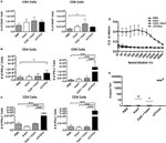IFN gamma Antibody in Flow Cytometry (Flow)