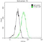 BCL10 Antibody in Flow Cytometry (Flow)