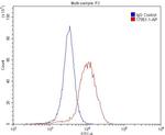 GLRA1 Antibody in Flow Cytometry (Flow)