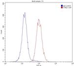PD-L1/CD274 Antibody in Flow Cytometry (Flow)
