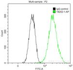 Cyclin A2 Antibody in Flow Cytometry (Flow)