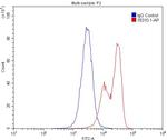 G-CSFR Antibody in Flow Cytometry (Flow)
