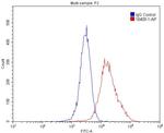 TOMM40 Antibody in Flow Cytometry (Flow)