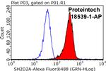 SH2D2A Antibody in Flow Cytometry (Flow)