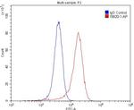 GPR142 Antibody in Flow Cytometry (Flow)