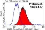 CD36 Antibody in Flow Cytometry (Flow)