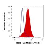 MYOD1 Antibody in Flow Cytometry (Flow)