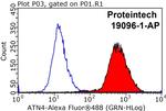 ACTN4 Antibody in Flow Cytometry (Flow)