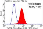 TNFR2 Antibody in Flow Cytometry (Flow)
