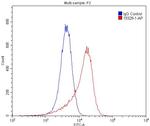 Tie1 Antibody in Flow Cytometry (Flow)