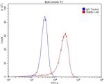 CEACAM3 Antibody in Flow Cytometry (Flow)