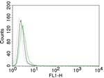 EGFR (Epidermal Growth Factor Receptor) Antibody in Flow Cytometry (Flow)