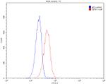 BRCA2 Antibody in Flow Cytometry (Flow)