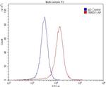 NMDAR2A Antibody in Flow Cytometry (Flow)