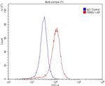 mGluR1 Antibody in Flow Cytometry (Flow)