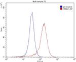 mGluR2 Antibody in Flow Cytometry (Flow)
