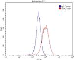 ITPR1 Antibody in Flow Cytometry (Flow)