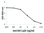 HIV-1 p24 Antibody in ELISA (ELISA)