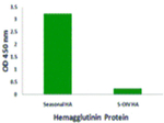 Seasonal H1N1 Hemagglutinin Antibody in ELISA (ELISA)