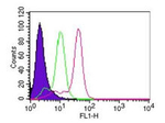 Caspase-8 Antibody in Flow Cytometry (Flow)