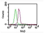 IKK beta Antibody in Flow Cytometry (Flow)