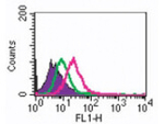RANK Antibody in Flow Cytometry (Flow)