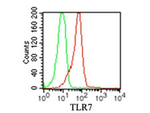 TLR7 Antibody in Flow Cytometry (Flow)