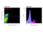 hFcRn Antibody in Flow Cytometry (Flow)