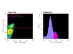 hFcRn Antibody in Flow Cytometry (Flow)