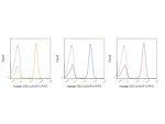 CD3 Antibody in Flow Cytometry (Flow)