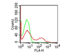 CD8 Antibody in Flow Cytometry (Flow)