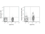 CD25 Antibody in Flow Cytometry (Flow)