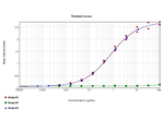 T7 RNA Polymerase Antibody in ELISA (ELISA)