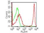 CD4 Antibody in Flow Cytometry (Flow)
