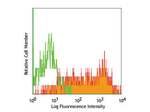 CD25 Antibody in Flow Cytometry (Flow)